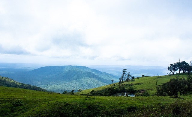 立足之本 立足之本
