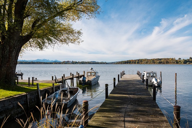 性以及掩護 性以及掩護