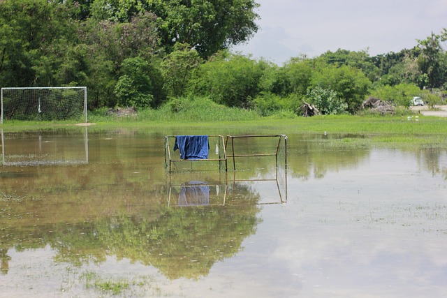 取此次比赛 取此次比赛