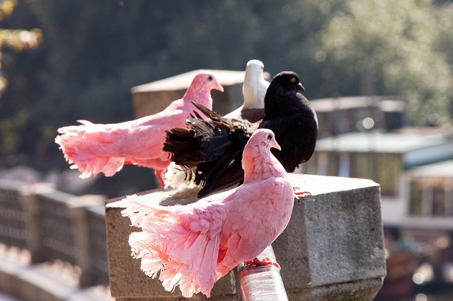 给了球队更 给了球队更
