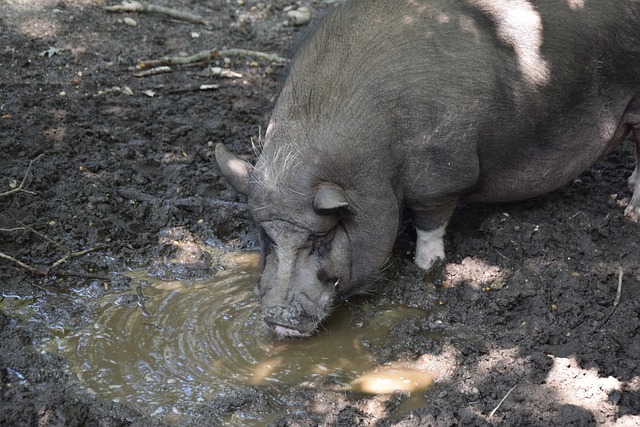 我们发现丹 我们发现丹