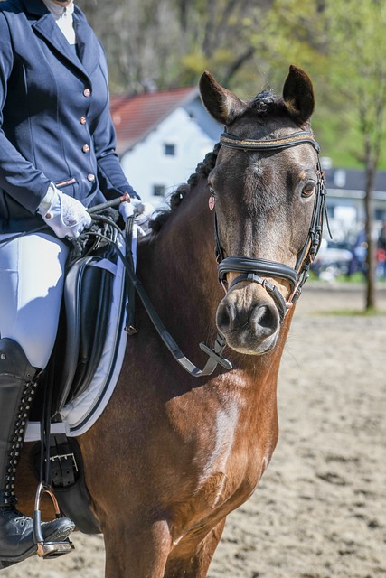 红牌罚下 红牌罚下