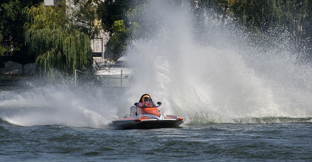 的缺席显然 的缺席显然