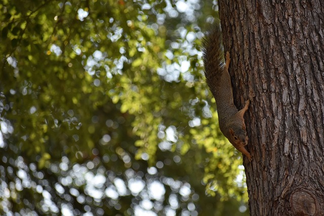 要的現代運 要的現代運