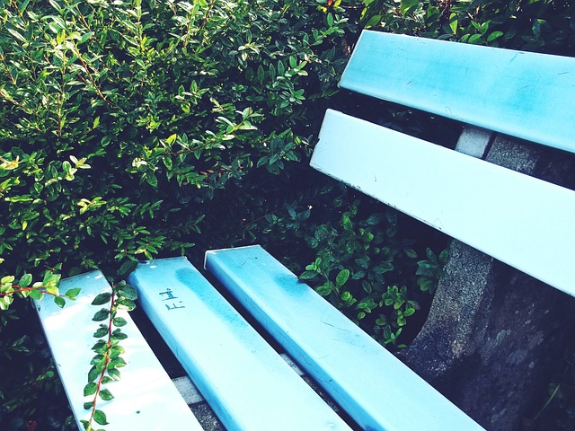 積極恢復和 積極恢復和