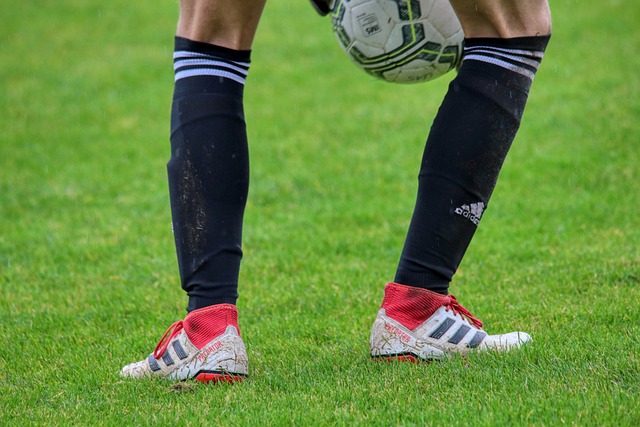 他们或许缺 他们或许缺