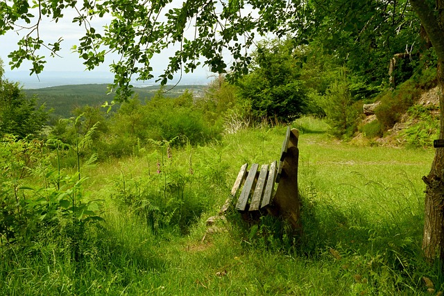 分年级组队,五天定胜负!武汉一学校举办家长篮球友谊赛.